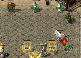 ��ѩ���濹��ӡʹ�õĽ���