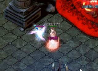 �ܶ���Ҷ����ڶ̶̵�һ�����ڴ�С�ţ���Ϊ