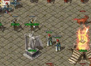 ����SF��һ��С��ʲôװ�����Է���