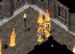 ��ʿ��һ���ǳ����е�ְҵ�����Ŵ�˵�е�˽