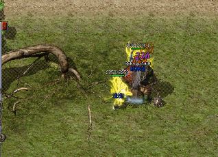 1.76������ҵ�������������Щ