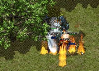 怎样才能够在半小时打通传奇私服火龙副本 怎样才能够在半小时打通传奇私服火龙副本