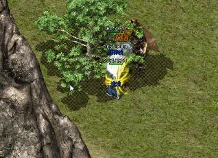 ��������Ӣ�ۻ���ѧʲô����