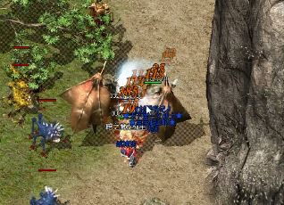 ��������ɭ������boss����ϸ����