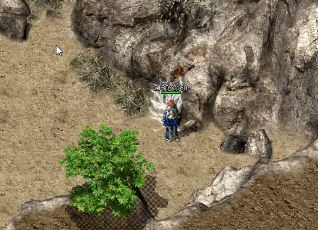 怎么打出更高的1.95金牛合击竞技场排名 怎么打出更高的1.95金牛合击竞技场排名