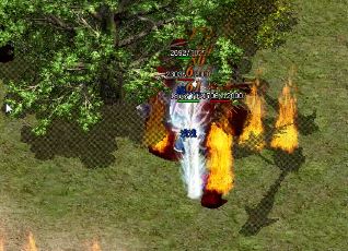 五行属性在传奇私服中拥有令人惊叹的神奇效果。 五行属性在传奇私服中拥有令人惊叹的神奇效果。