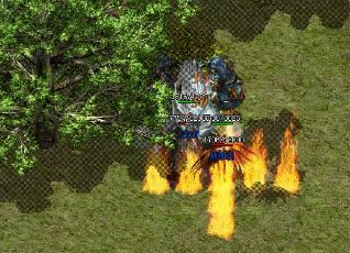 在交易行中买东西会更贵吗 在交易行中买东西会更贵吗