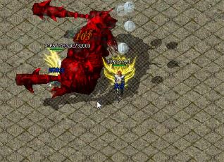 ��ְҵ�������ʿ�����ٶ��ǿ�����