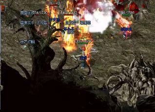 ��δ���������Ϸ�еĸ���װ����Ƭ��