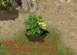 传奇私服:新手升级攻略,快速提升实力步步高升 传奇私服:新手升级攻略,快速提升实力步步高升