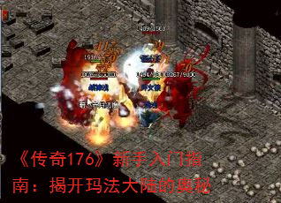 ������176����������ָ�ϣ��ҿ��귨��½�İ���