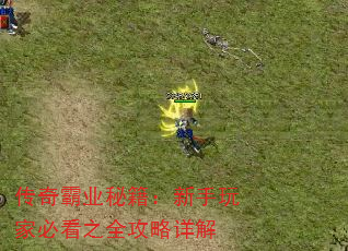 传奇霸业秘籍:新手玩家必看之全攻略详解 传奇霸业秘籍:新手玩家必看之全攻略详解