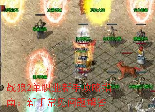 ս��2��ְҵ���ֹ���ָ�ϣ����ֳ���������