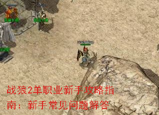 ս��2��ְҵ���ֹ���ָ�ϣ����ֳ���������