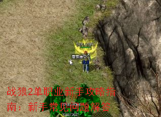 ս��2��ְҵ���ֹ���ָ�ϣ����ֳ���������