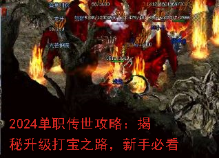 2024单职传世攻略:揭秘升级打宝之路,新手必看 2024单职传世攻略:揭秘升级打宝之路,新手必看