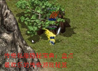 传奇私服隐秘宝典:盘点最欢乐的传奇游戏秘笈 传奇私服隐秘宝典:盘点最欢乐的传奇游戏秘笈