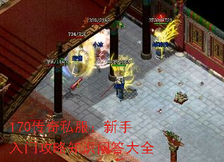 170传奇私服:新手入门攻略知识问答大全 170传奇私服:新手入门攻略知识问答大全