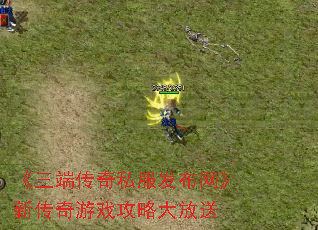 �����˴���˽�����������´�����Ϸ���Դ����