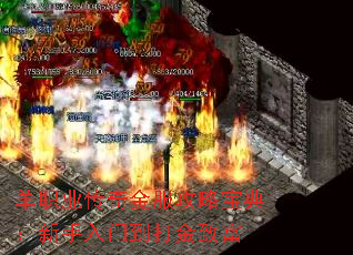 ��ְҵ���������Ա��䣺�������ŵ�����¸�