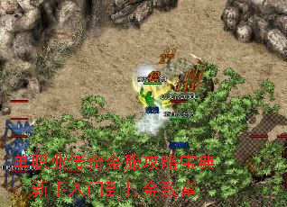 ��ְҵ���������Ա��䣺�������ŵ�����¸�