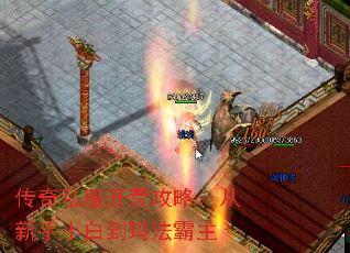 传奇私服开荒攻略:从新手小白到玛法霸主 传奇私服开荒攻略:从新手小白到玛法霸主