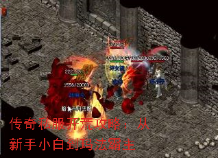 传奇私服开荒攻略:从新手小白到玛法霸主 传奇私服开荒攻略:从新手小白到玛法霸主