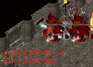 传奇私服开荒攻略:从新手小白到玛法霸主 传奇私服开荒攻略:从新手小白到玛法霸主