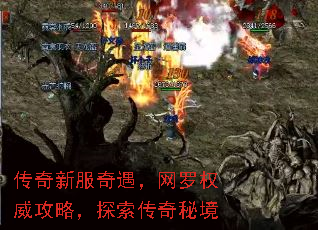 �����·�����������Ȩ�����ԣ�̽�������ؾ�