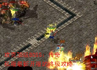 ���˶���BOSS������˽�����¿������ռ�����