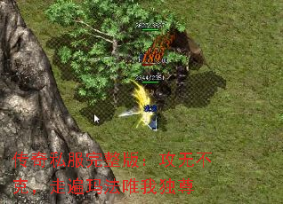 传奇私服完整版:攻无不克,走遍玛法唯我独尊 传奇私服完整版:攻无不克,走遍玛法唯我独尊
