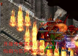 �������汦�䣺��������ָ����ʵ�ü����ʴ𼯺�