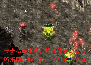 ����˽�����䣺��Ѫ����SF�湥��ָ�ϣ��⿪��Ĵ���֮��֮��