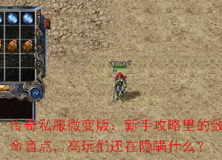 传奇私服微变版:新手攻略里的致命盲点,高玩们还在隐瞒什么? 传奇私服微变版:新手攻略里的致命盲点,高玩们还在隐瞒什么?