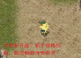 传奇新开服:新手攻略指南,助你畅游传奇世界 传奇新开服:新手攻略指南,助你畅游传奇世界