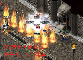 176������ͨ���Ŵ����������ű���