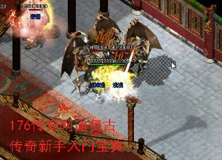 176������ͨ���Ŵ����������ű���