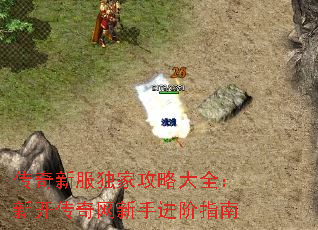 传奇新服独家攻略大全:新开传奇网新手进阶指南 传奇新服独家攻略大全:新开传奇网新手进阶指南