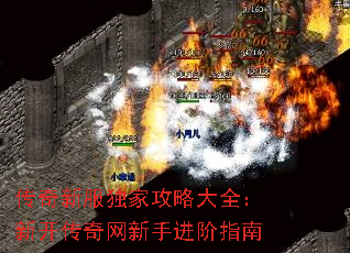 传奇新服独家攻略大全:新开传奇网新手进阶指南 传奇新服独家攻略大全:新开传奇网新手进阶指南