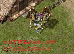 传奇开服重磅攻略:新手入门必看知识问答宝典 传奇开服重磅攻略:新手入门必看知识问答宝典