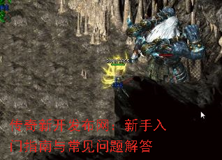 �����¿�����������������ָ���볣��������