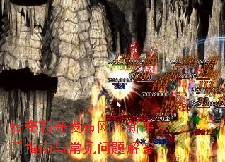 �����¿�����������������ָ���볣��������