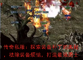 ����˽����̽��װ�������İ��أ����װ�����գ�������ǿ��ʿ