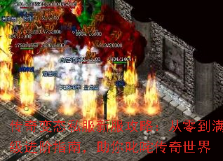 �����̬˽���·����ԣ����㵽��������ָ�ϣ�����߳�崫������