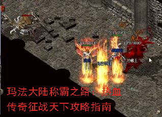 �귨��½�ư�֮·����Ѫ������ս���¹���ָ��