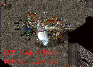 ���䵥ְҵ����˽���������ŵ�ͨ��֮·