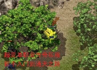 ���䵥ְҵ����˽���������ŵ�ͨ��֮·