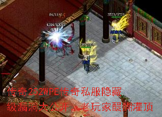 ����252WPE����˽�����ؼ�©���󹫿�������������ඥ