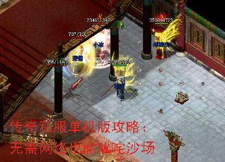 ����˽�������湥�ԣ���������Ҳ��߳��ɳ��