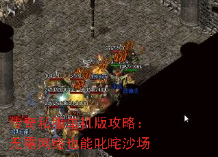 ����˽�������湥�ԣ���������Ҳ��߳��ɳ��